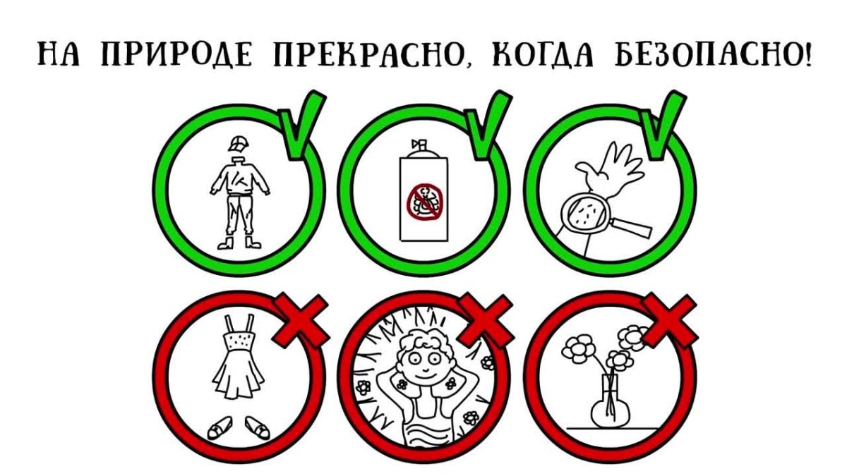 На природе прекрасно, когда безопасно!