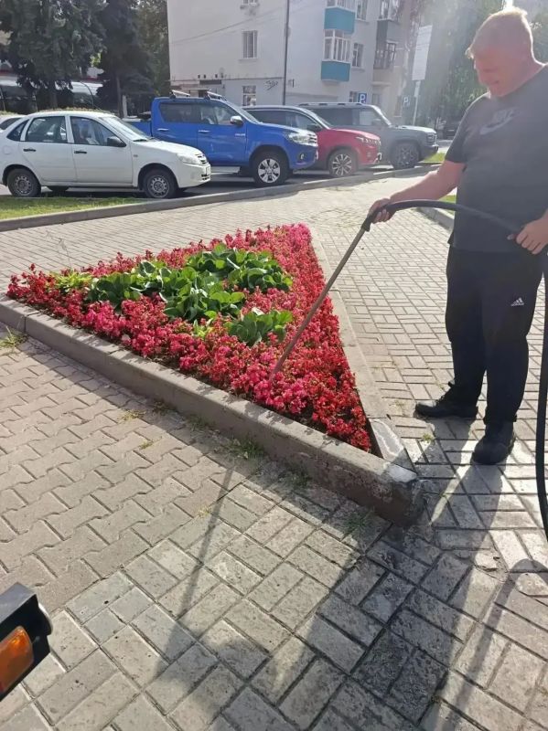 В Курске следят за состоянием зелёных насаждений В Курске следят за состоянием зелёных насаждений