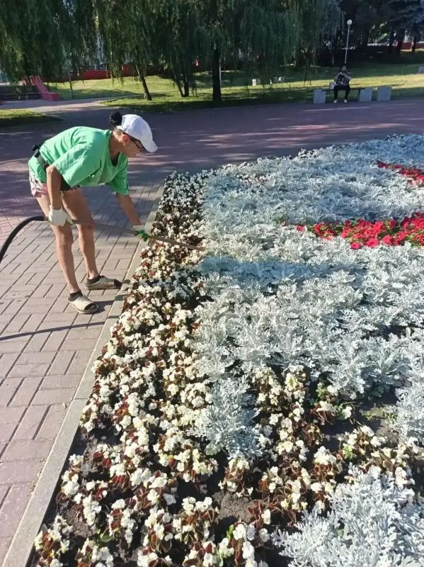 В Курске следят за состоянием зелёных насаждений