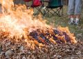 Как сжигание листьев и веток разрушает почву и окружение