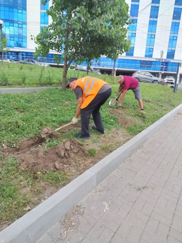 Сегодня в Курске специалисты подрядчика ИП Сароян осуществляли уход за зелеными насаждениями на ул. Ленина, в зоне отдыха у дома №12 по ул. Союзной, в сквере «Юность» и др. В основном, производилась прополка однолетников... Сегодня в Курске специалисты подрядчика ИП Сароян осуществляли уход за зелеными насаждениями на ул. Ленина, в зоне отдыха у дома №12 по ул. Союзной, в сквере «Юность» и др. В основном, производилась прополка однолетников...