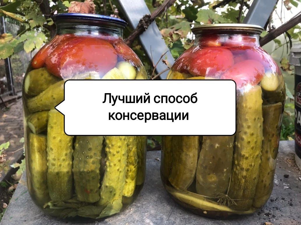 Как сохранить витамины в зимних заготовках: полезные советы