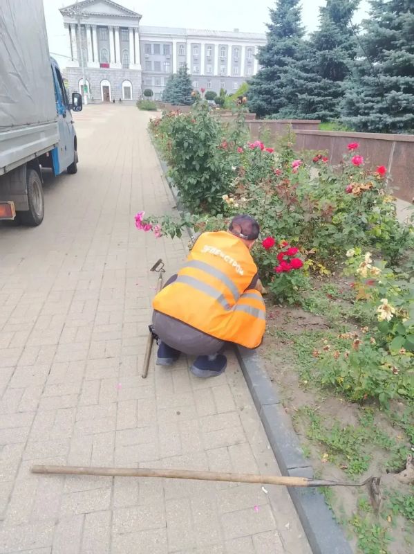 В Курске поливают клумбы с цветами по графику В Курске поливают клумбы с цветами по графику