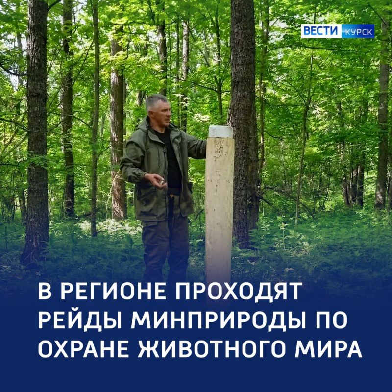 Сети для браконьеров: 5 протоколов нарушителям — за неделю