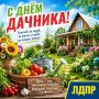 Алексей Томанов: Дорогие друзья, земляки!. 23 июля мы встречаем чудесный праздник — День дачника