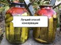 Как сохранить витамины в зимних заготовках: полезные советы