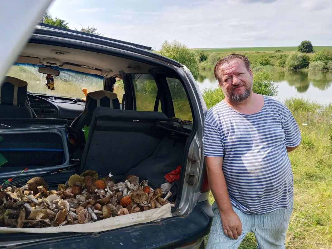Курские грибники ликуют. В лесах региона сейчас наступила самая благоприятная для грибов пора - тёплая погода с дождями Курские грибники ликуют. В лесах региона сейчас наступила самая благоприятная для грибов пора - тёплая погода с дождями