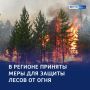 Не допустить огня: Курская область наращивает защиту лесов