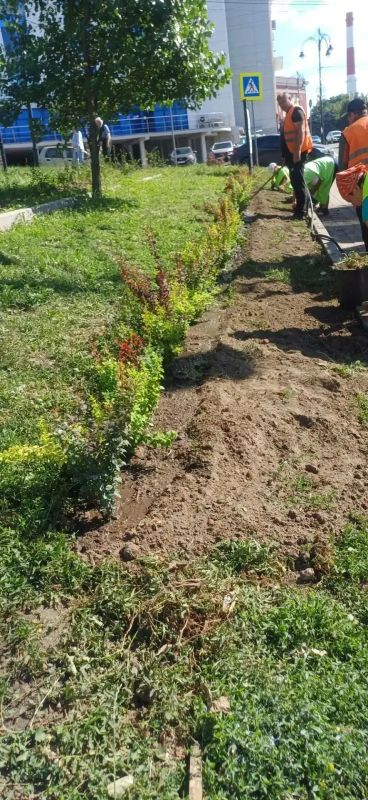 В Курске рассказали об уходе за городскими клумбами В Курске рассказали об уходе за городскими клумбами