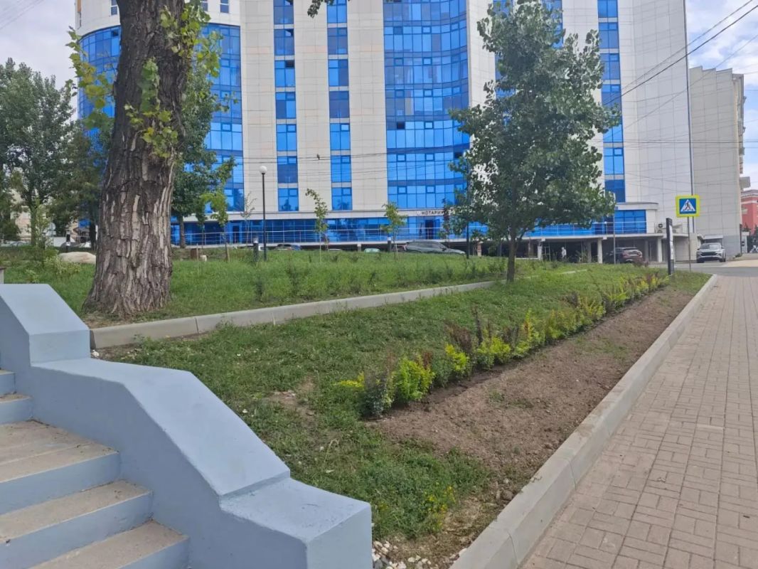 В комитете городского хозяйства Курска объяснили причину пропажи сирени из сквера «Спутник»