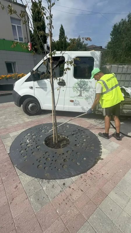 В Курске рассказали об уходе за городскими клумбами В Курске рассказали об уходе за городскими клумбами