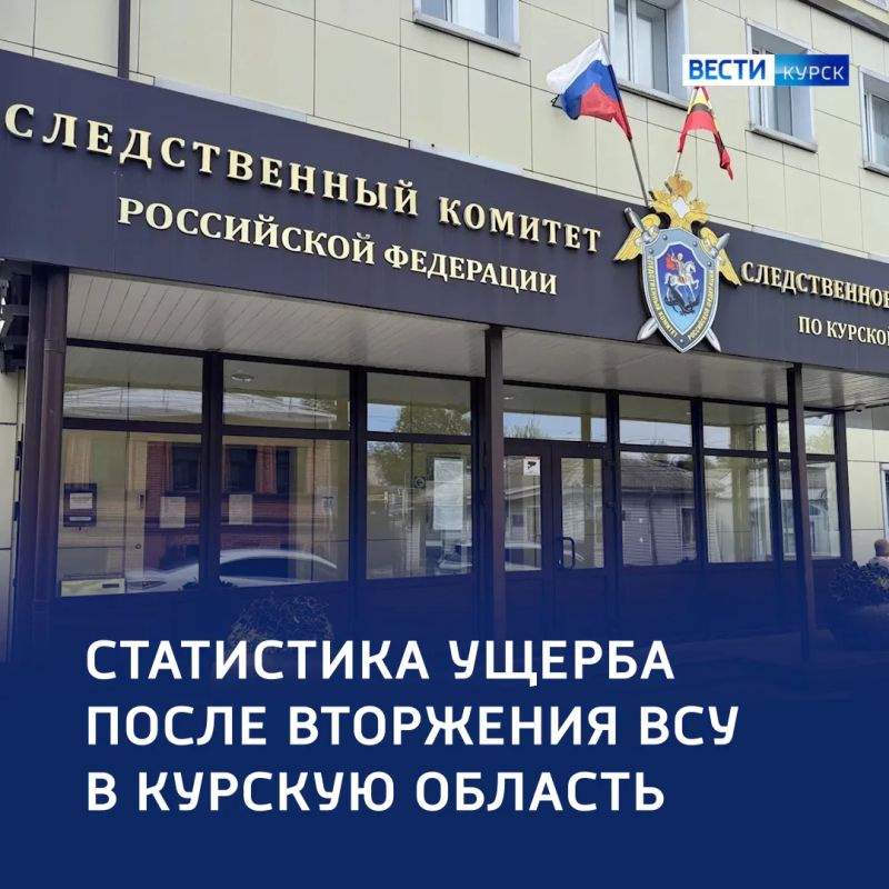 Более 87 тысяч пострадавших: данные СК о преступлениях в Курской области