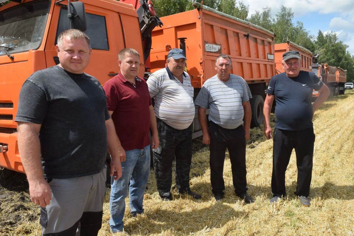 На полях района началась уборка озимой пшеницы На полях района началась уборка озимой пшеницы