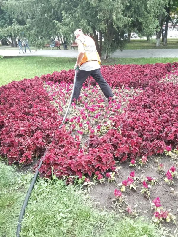 В Курске рассказали об уходе за городскими клумбами В Курске рассказали об уходе за городскими клумбами