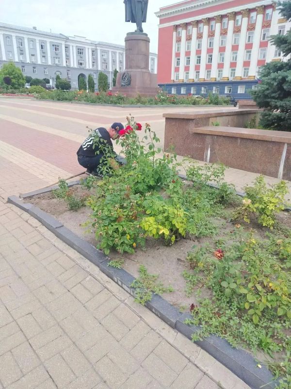 В Курске рассказали об уходе за городскими клумбами В Курске рассказали об уходе за городскими клумбами