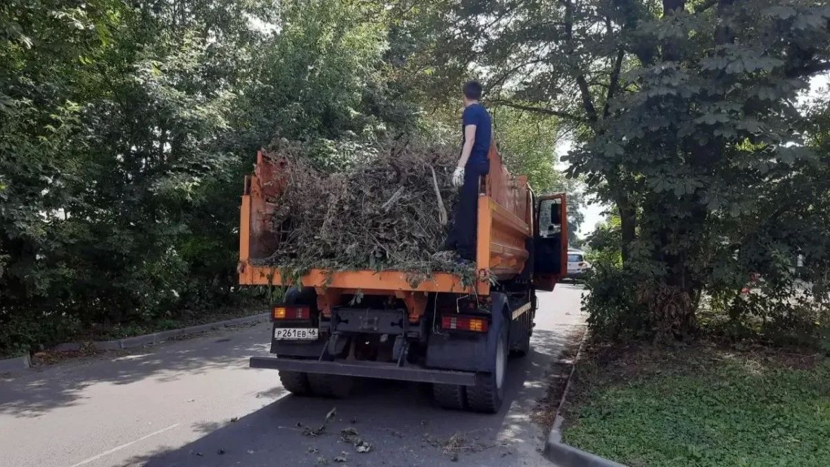 В Курске на субботнике собрали и вывезли 20 кубометров мусора В Курске на субботнике собрали и вывезли 20 кубометров мусора