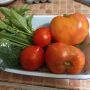 Рискуете потерять свой идеальный вкус: стоит ли собирать семена томатов самостоятельно?