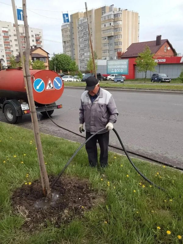 Недавно от жителей областного центра стали поступать жалобы, что на территориях общественных пространств, расположенных на ул. 50 лет Октября и пр-те Ленинского Комсомола, погибают деревья Недавно от жителей областного центра стали поступать жалобы, что на территориях общественных пространств, расположенных на ул. 50 лет Октября и пр-те Ленинского Комсомола, погибают деревья