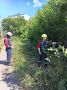 В Курске на улице Станционной вывезли более 16 кубометров древесных остатков