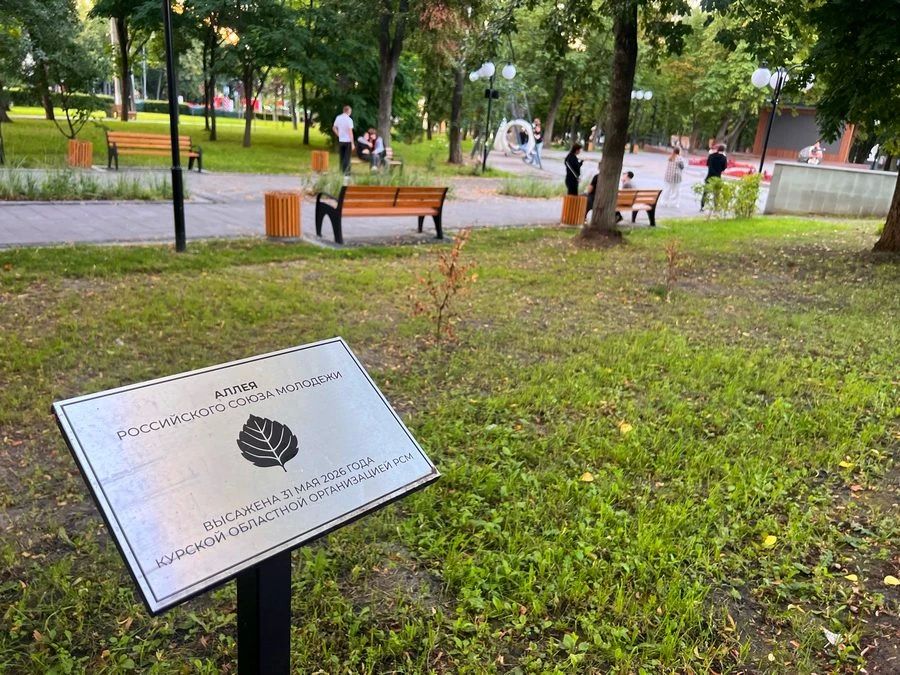 В парке Пионеров в Курске засохла недавно высаженная аллея Российского Союза Молодежи В парке Пионеров в Курске засохла недавно высаженная аллея Российского Союза Молодежи