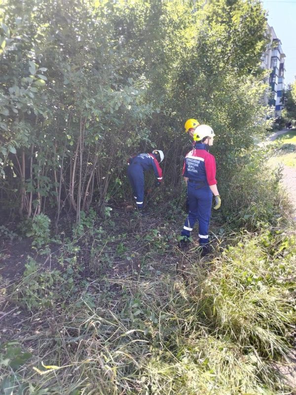 Продолжаем наводить порядок на территории Железнодорожного округа города Курска Продолжаем наводить порядок на территории Железнодорожного округа города Курска