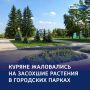 Спасти зелень: качество полива в парках Курска