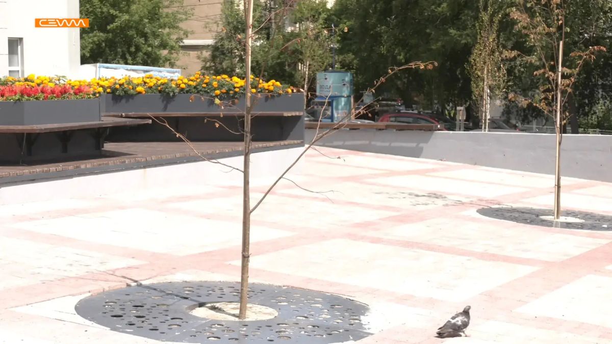 В Курске следят за ситуацией с недостаточным поливом деревьев в парках и скверах