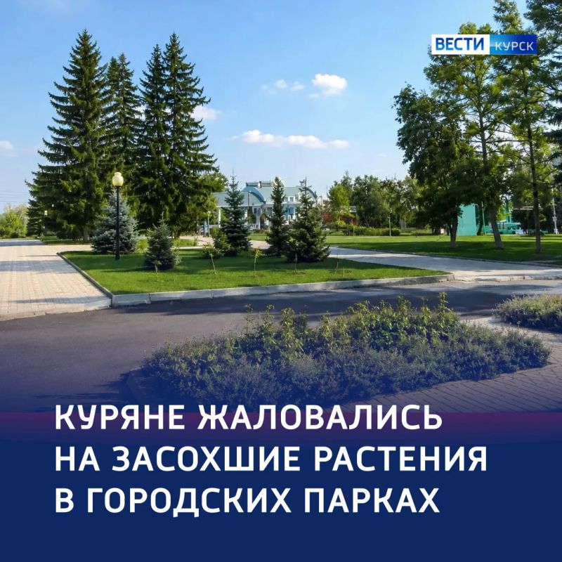 Спасти зелень: качество полива в парках Курска