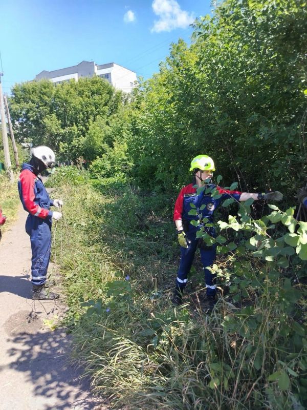 Продолжаем наводить порядок на территории Железнодорожного округа города Курска Продолжаем наводить порядок на территории Железнодорожного округа города Курска
