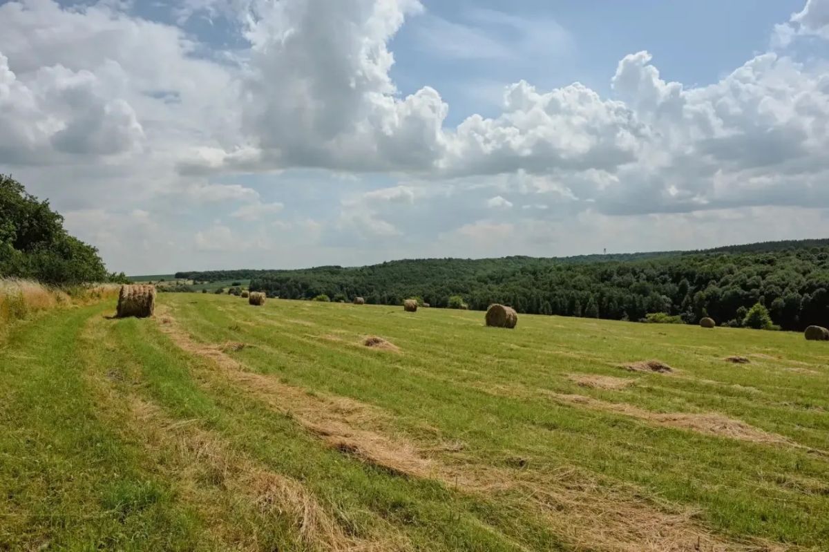 Потепление придет в Курскую область уже завтра Потепление придет в Курскую область уже завтра