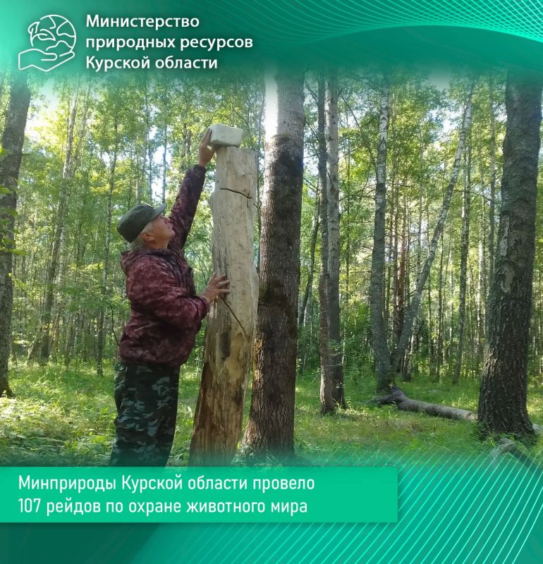 Минприроды провело 107 рейдов по охране животного мира