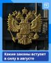 Работающим пенсионерам увеличат пенсии, самозанятые начнут получать выплаты по больничным, а справку об участии в СВО теперь можно будет оформить за пять минут