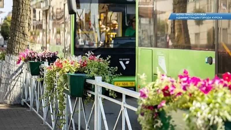 В Курске продолжают проходить мероприятия по высадке зеленых насаждений