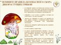 Незнание видов грибов, отсутствие настороженности при сборе и употреблении в пищу условно съедобных грибов, несоблюдение технологии их переработки ежегодно приводит людей на больничную койку