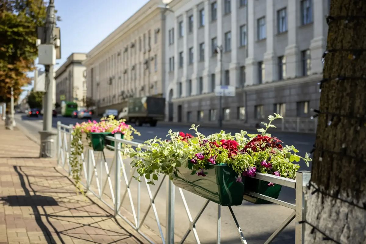 В Курске дорожные ограждения на улице Ленина украшают термочашами с цветами В Курске дорожные ограждения на улице Ленина украшают термочашами с цветами