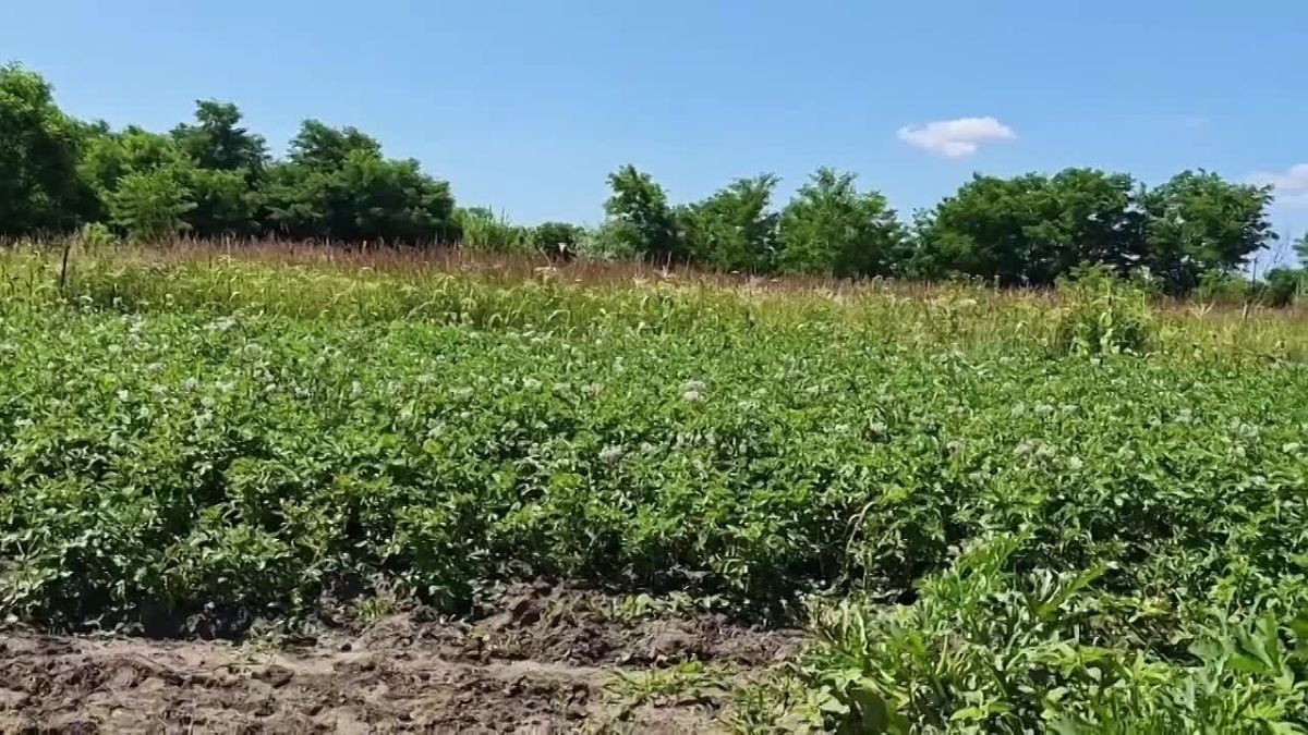 Знакомьтесь с первыми участниками конкурса «АгроЭкоСоревнования УДача»!