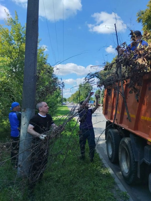 Сегодня сотрудники комитета социальной защиты населения, комитета культуры и туризма и комитета молодежной политики, физической культуры и спорта города Курска, их подведомственных учреждений, а также представители... Сегодня сотрудники комитета социальной защиты населения, комитета культуры и туризма и комитета молодежной политики, физической культуры и спорта города Курска, их подведомственных учреждений, а также представители...