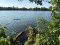 Вчера в Курске случилось то, что могло закончиться трагедией