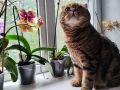 Доброе утро, друзья!. Вот и пролетели два летних месяца