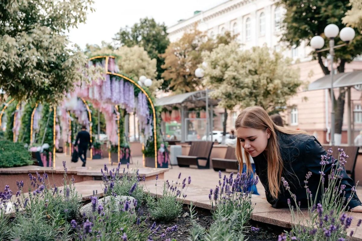 Центр Курска превратят в город-сад ко Дню города Центр Курска превратят в город-сад ко Дню города