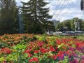 Завтра Курскую область накроет жара