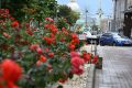 Жара возвращается!. Завтра, 2 августа, в Курской области ожидается до +33 градусов без осадков