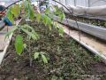 Как сохранить тепло в саде: советы по обогреву и профилактике