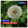 2 августа, воскресенье. Сегодня День ВДВ