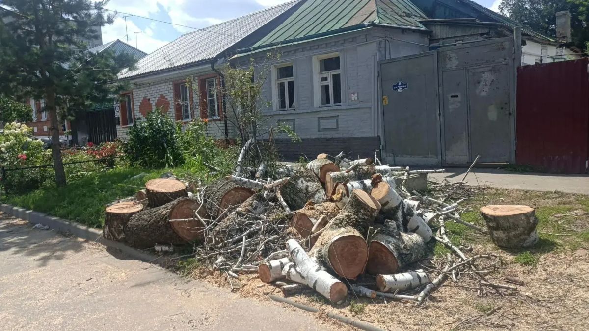 Силами МКУ «Управление по делам ГО и ЧС при администрации города Курска» и специалистами подрядчика за неделю спилено 59 аварийных деревьев Силами МКУ «Управление по делам ГО и ЧС при администрации города Курска» и специалистами подрядчика за неделю спилено 59 аварийных деревьев