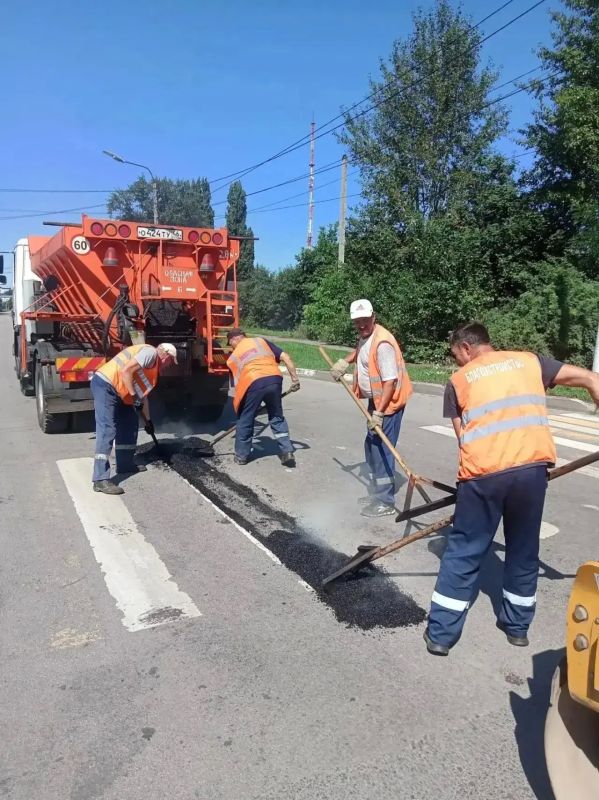 Мэр Курска ответил на жалобы жителей на ямы, высокую траву и темноту