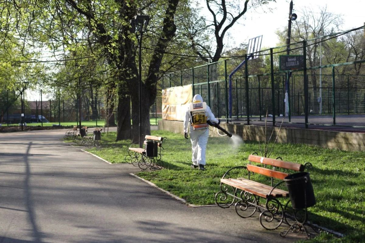 Комиссия хорошо оценила внешний вид четырех скверов в Курске