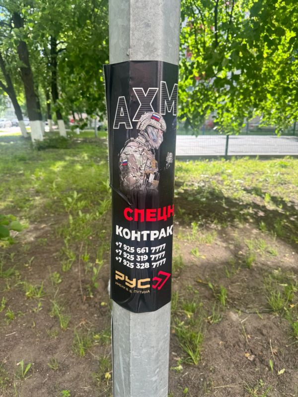 Александр Малькевич: Небольшая тематическая подборка фотографий про #мой_Белгород Александр Малькевич: Небольшая тематическая подборка фотографий про #мой_Белгород
