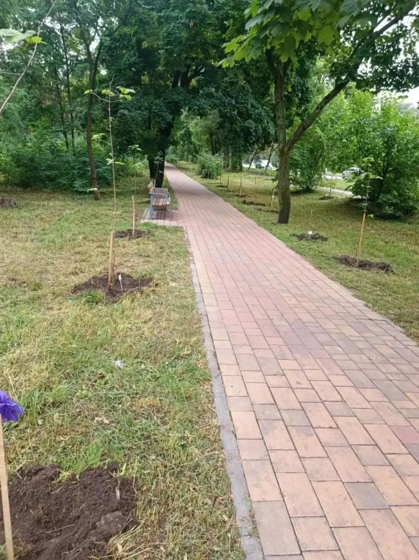 Мэр Курска ответил на жалобы жителей на ямы, высокую траву и темноту Мэр Курска ответил на жалобы жителей на ямы, высокую траву и темноту
