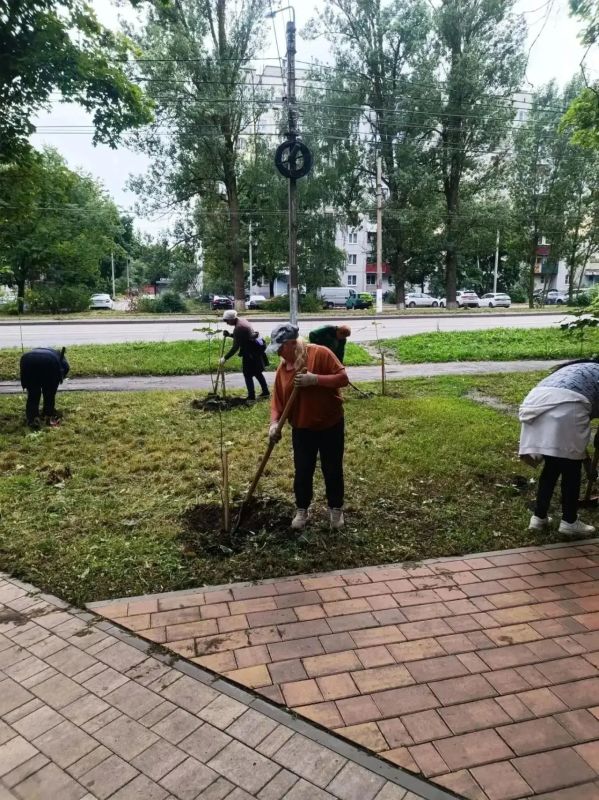 Мэр Курска ответил на жалобы жителей на ямы, высокую траву и темноту Мэр Курска ответил на жалобы жителей на ямы, высокую траву и темноту